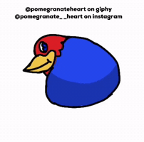 Kansas Jayhawks GIF