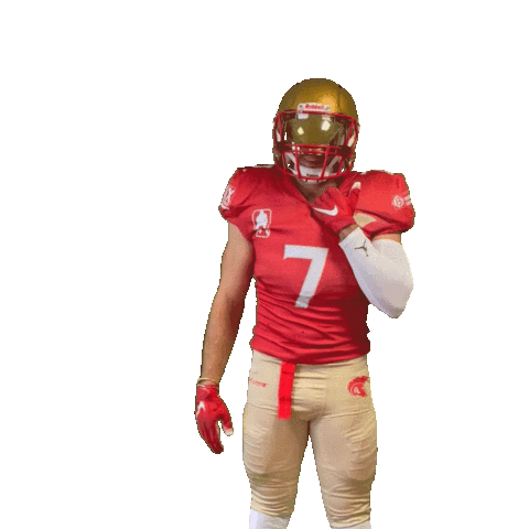 Football Sport Sticker by Les Argonautes Aix