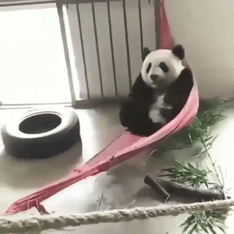 giphy.gif?cid=8fc3c8975d3ced3a4951347249f164a3&rid=giphy.gif
