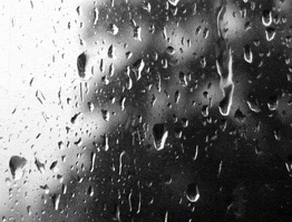 happy love rain GIF