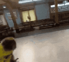 Esquizocenda GIF