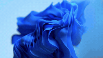 Windows 11 GIF