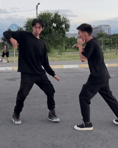 Kung Fu Fight GIF