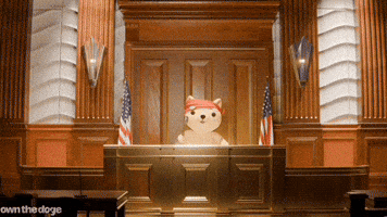 Usa Judge GIF by Own The Doge