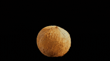 Coconut GIF by Buchanan's Scotch Whisky