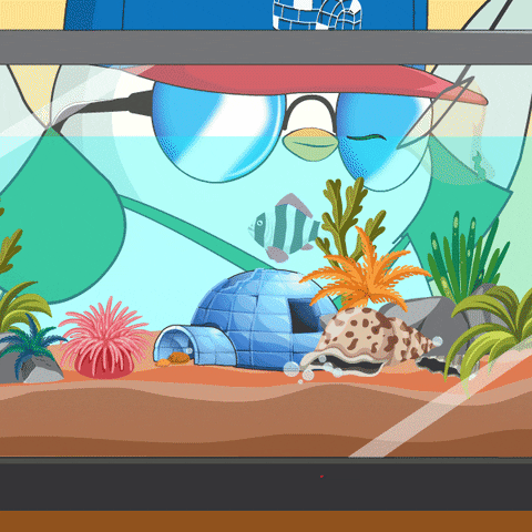 Fish Tank GIF by Pudgy Penguins