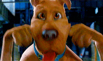 scooby doo, scooby, scooby dooby doo, scooby doo the movie, scoobert doo ... - 200_s