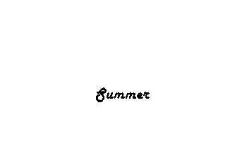 supelo Sticker