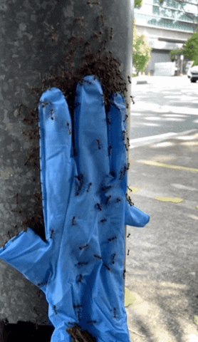 Lamp GIF
