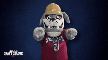 Baseball Yes GIF by Mahoning Valley Scrappers