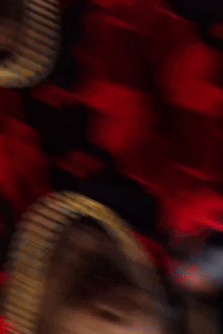 Dog Pig GIF