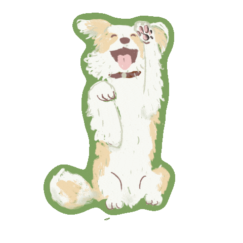 Bordercollie Sticker