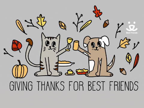 friends thanksgiving gif