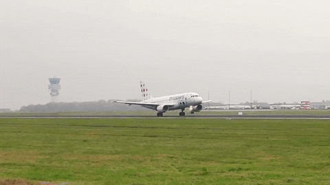 Brusselsairlines GIFs - Get the best GIF on GIPHY
