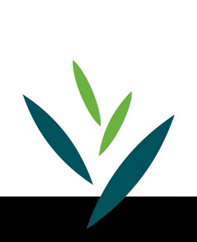 Dubai Herbal & Treatment Centre GIF