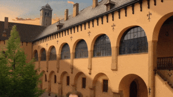 GoCompare GIF