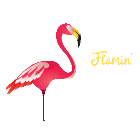 Happy Business Sticker by alicehamran.no