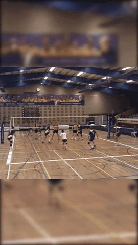 Webton Hengelo GIF
