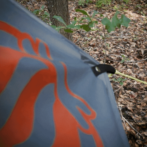 Tarp GIF