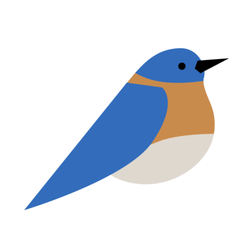 Blue Bird Birds Sticker by National Audubon Society