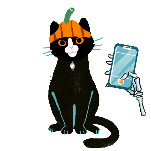 Cat Halloween Sticker by Simyo