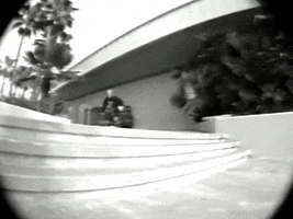 Black And White Skate GIF by Beastie Boys