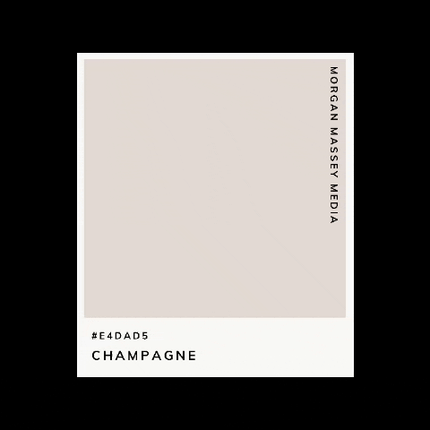 Morgan Massey Media GIF