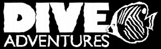 Dive Adventures GIF