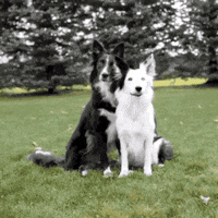 Funny friends personal GIF on GIFER - by Mibei