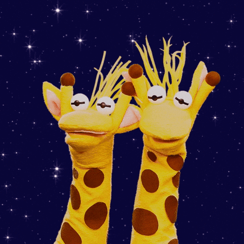 Giraffas amor comida crush amei GIF
