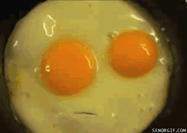  eggs GIF