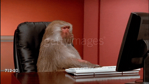 Image result for monkey computer gif