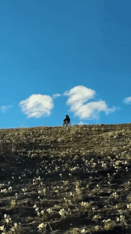 Lonely Peace GIF