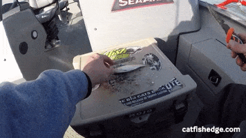 Fishing GIF