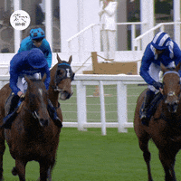 Royal Ascot Horse Riding GIF by World Horse Racing