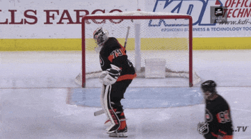 Jumping Ice Hockey GIF by NHL