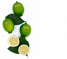 Bio Lemon GIF by Agribio
