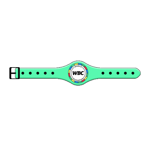 wbcboxing Sticker