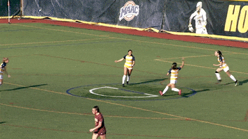 Happy Soccer GIF by Canisius Athletics