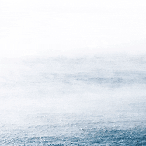 Un GIF by Oceanic Global