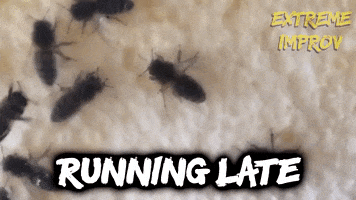 Run Running Late GIF by Extreme Improv
