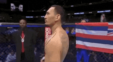 max holloway wink GIF by UFC