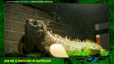 super chat gif