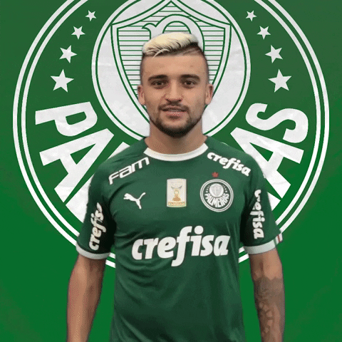 Palmeiras soccer scream futebol silence GIF