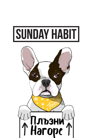 Dog Swipe Up Sticker by SUNDAY HABIT