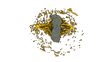 Allen Institute Sticker