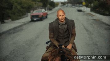 The Rock Horse GIF by Morphin