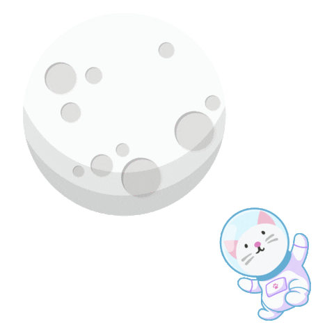Cat Sticker