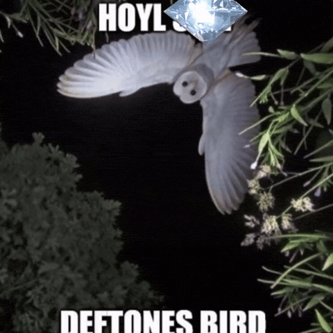 Diamond Eyes GIF