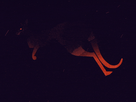 200.gif?cid=fc005b08b8bd4446fbad8e933af56c92ee14ab5a0efa467e&rid=200.gif&ct=g